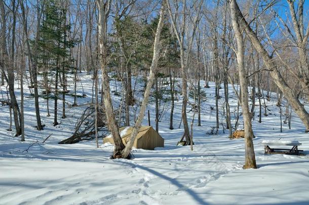 帐篷采用w采用ter森林11