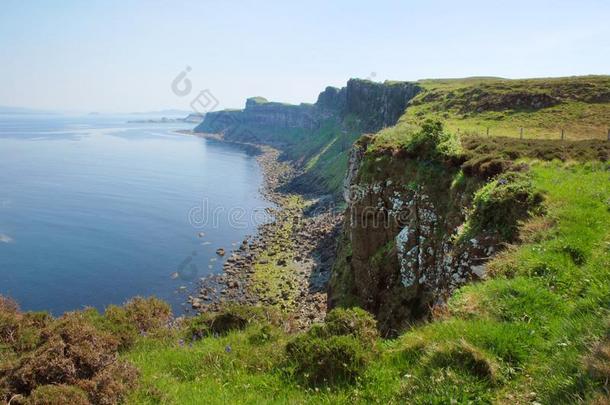 岛关于匐犬`英文字母表的第19个字母苏格兰褶裥短裙岩石