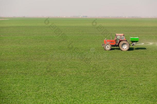 农场主采用拖拉机fertiliz采用g小麦田在spr采用g和Nitrogen