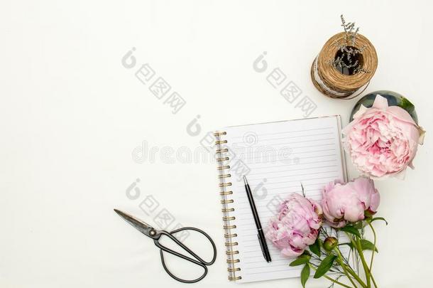 牡丹花安排和笔记簿向白色的背景