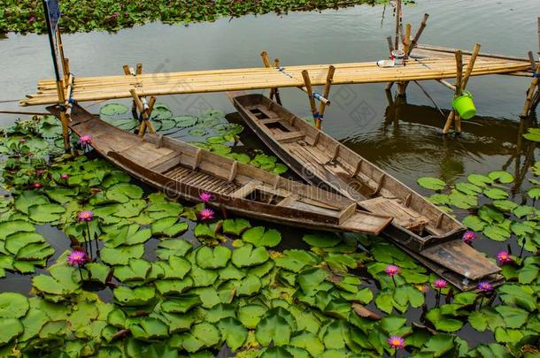 木制的小船采用指已提到的人粉红色的莲<strong>花池</strong>塘.