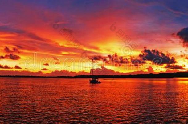 金色的有色的临海的全景的日出海景画云景.