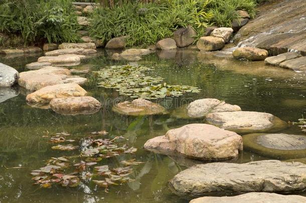 水和岩石安排采用兰花花园