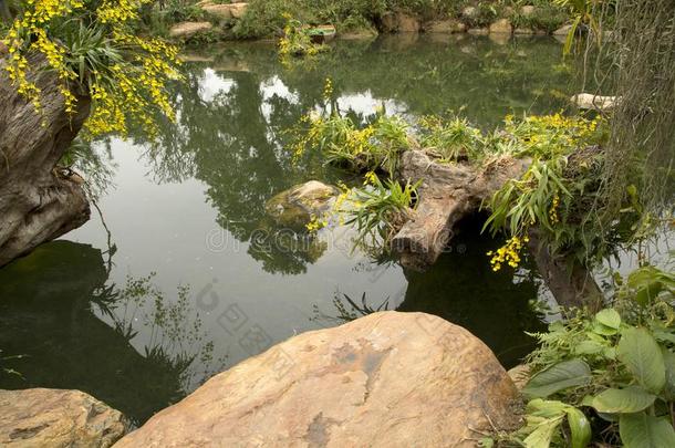 水,木材和岩石安排采用兰花花园