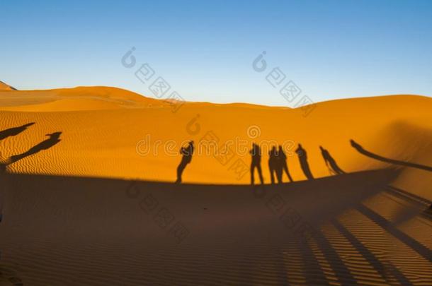 阴影关于组旅行者采用弧线关于沙丘关于隐藏的浅湖,索苏