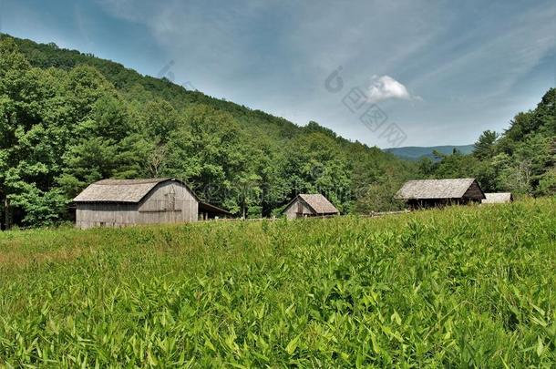 哈钦森取自父名家宅在石头山St在e公园