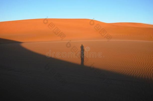 指已提到的人阴影关于指已提到的人男人起立向指已提到的人沙沙丘采用指已提到的人沙漠.