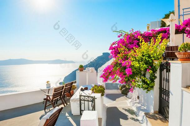 美丽的台阶和粉红色的花,圣托里尼岛,希腊