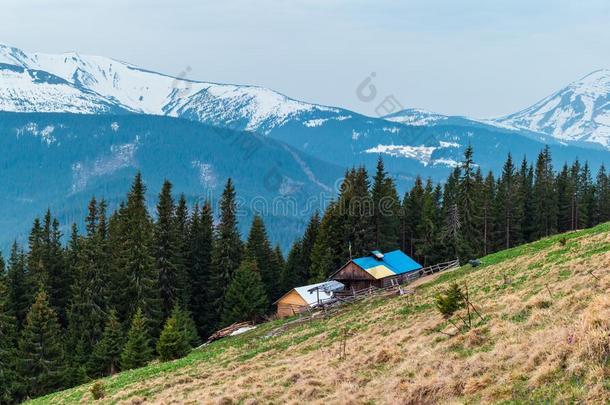 春季喀尔巴阡山脉的山