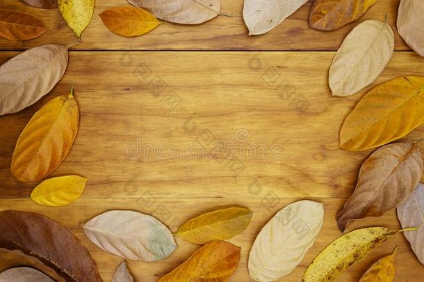 金色的叶子框架向木制的表.秋叶子布置平的放置Philippines菲律宾