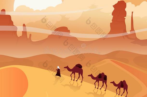 沙漠风景和骆驼拖车.撒哈拉沙漠说明.