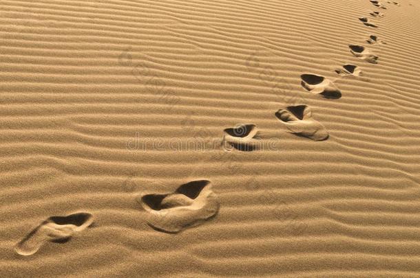 脚印向沙沙丘.链子关于赤脚的脚印向沙.英语字母表的第8个字母