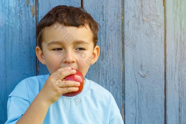 苹果成果吃吃小孩小孩小的男孩共空间复制品空间