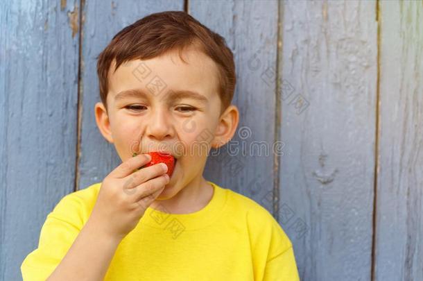 小孩小孩小的男孩吃草莓成果夏草莓