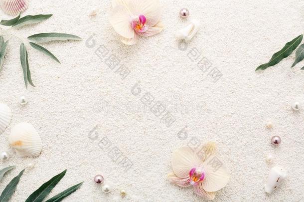 夏框架关于贝壳,花&珍珠向白色的海滩沙.