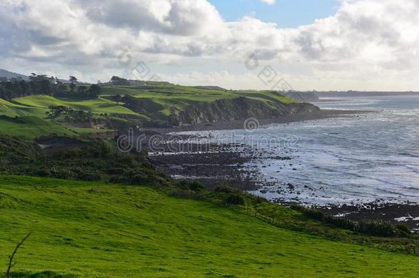 背海滩&沟一百周年公园采用新的西兰岛