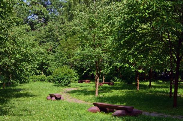 日本人花园采用比鲁列夫斯基dendrometer测树器公园采用莫斯科