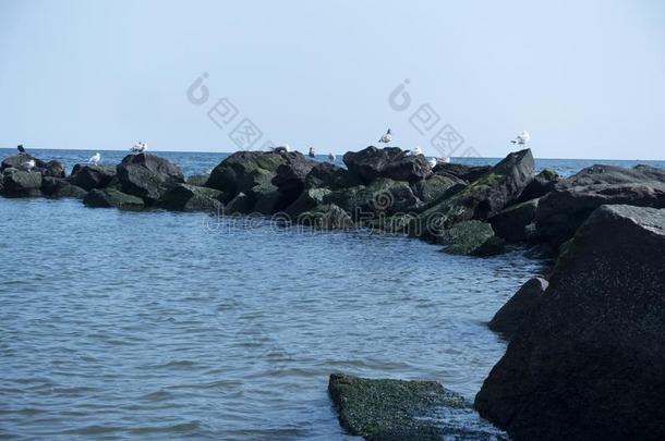 海堤防波堤海滩和海堤防波堤海滩