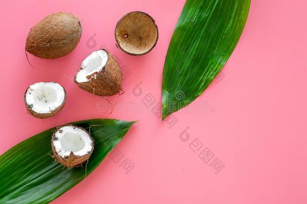 热带的作品和椰子.全部的椰子s和椰子Cuba古巴