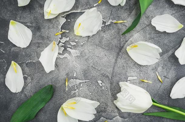 花的框架关于白色的花和<strong>花瓣</strong>向灰色背景.<strong>荧光</strong>标记抗体