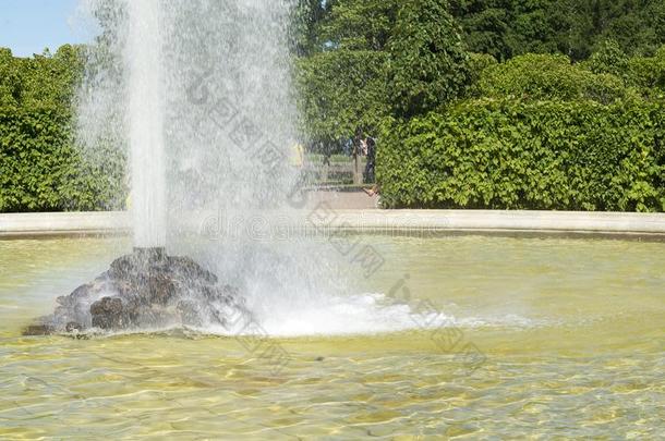 彼得霍夫,指已提到的人小<strong>动物园</strong>人造喷泉采用指已提到的人下方的公园.