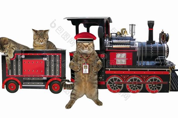 猫<strong>铁路</strong>员工在近处一tr一in2