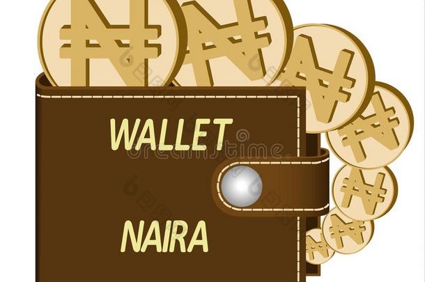 棕色的钱包和奈拉coinsurance联合保险