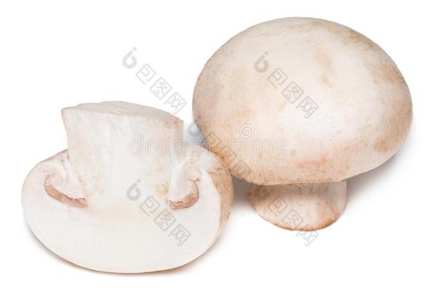 新鲜的食用香草蘑菇隔离的向白色的背景