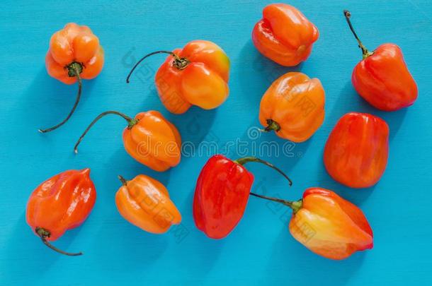 哈巴内罗斯,奇利斯哈瓦那人哈瓦那居民,辛辣的成熟的哈瓦那人哈瓦那居民热的红辣椒胡椒