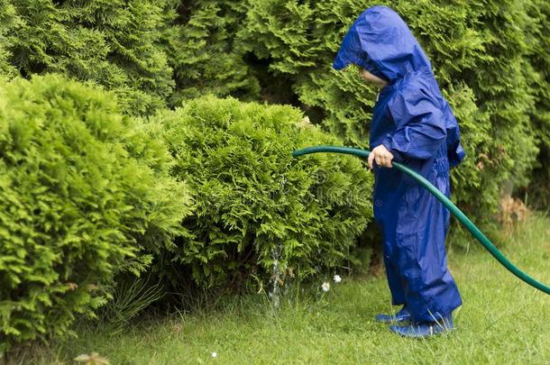 蹒跚行走的人演奏和洒水软管采用绿色的花园.年幼的花园