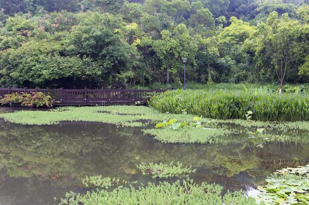 京虎湖后的雨,风干土坯三原色红绿兰彩色值