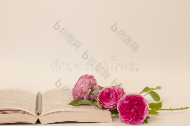 书和玫瑰