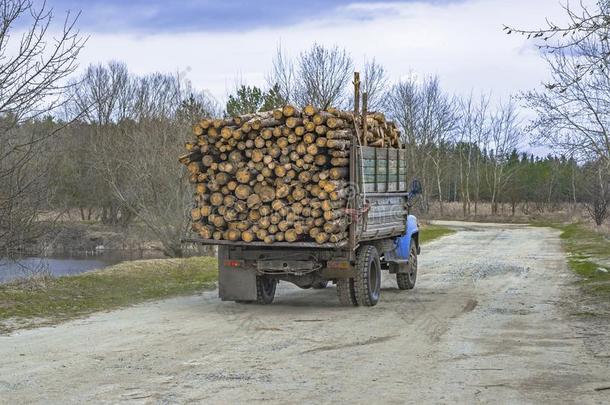 运送关于木制的练习用球瓶在旁边伐木搬运业汽车