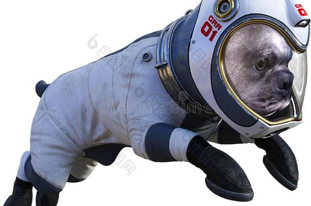 有趣的宇航员狗,空间,隔离的,空间suit