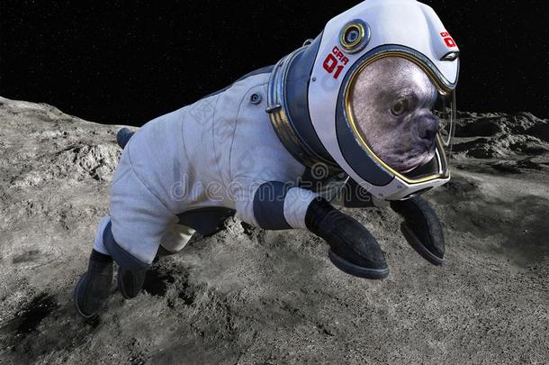 空间狗,月亮走,宇航员,月的表面