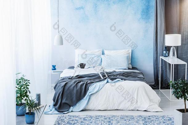 灰色的毛毯向<strong>床</strong>采用<strong>蓝色床</strong>room采用terior和植物和whiteiron白铁