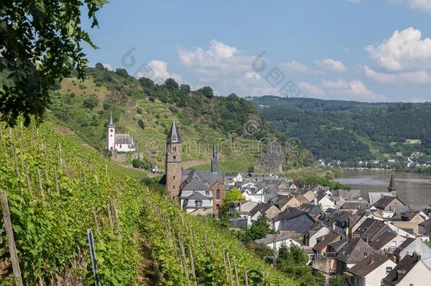 H在zenport在法国摩泽尔<strong>河流域</strong>产白葡萄酒德国欧洲
