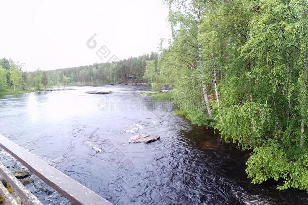 芬兰标牌森林自然