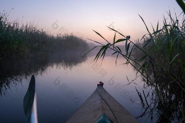 皮艇运动向早晨河,黎明和早晨雾