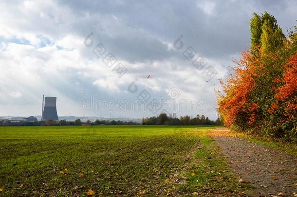 秋有风的一天采用德国,多云的天黄色的树叶fall采用gFrance法国