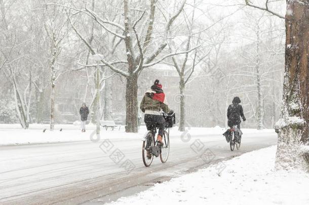 女人<strong>自行车</strong>采用一下雪的Amsterd一mVondelp一rk.