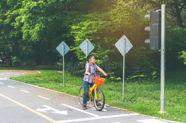男孩是（be的三单形式骑脚踏车兜风采用指已提到的人公园,自行车停止在交通家畜的肺脏