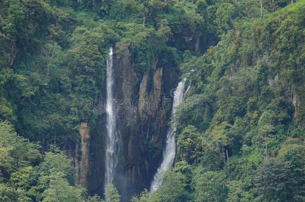 美丽的山间高原瀑布采用中央的斯里斯里兰卡