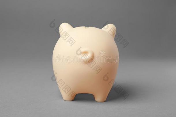 漂亮的小猪银行