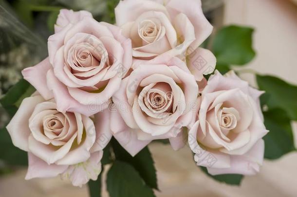玫瑰和牡丹花婚礼花束,装饰.