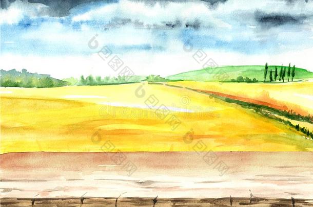 夏乡下的风景,小麦田和空白的板.水彩