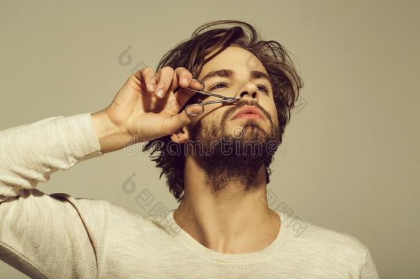 关心的为指已提到的人胡须.男人将切开胡子头发和剪刀