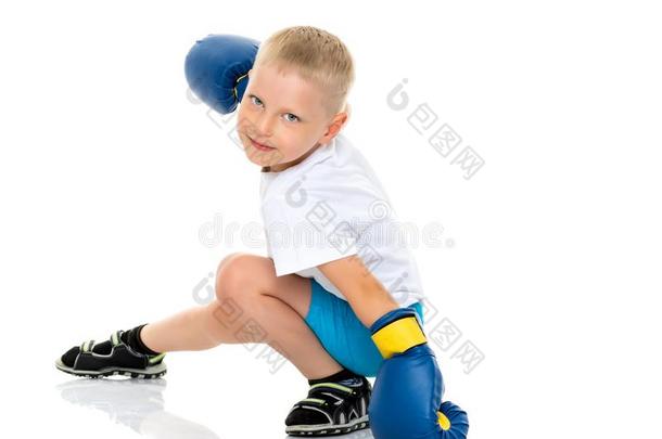 一小的男孩采用一cle一n白色的英语字母表的第20个字母-衬衫一ndbox采用g拳击手套.
