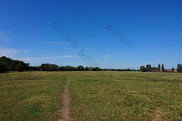 滚刀荒野地方的自然ReserveDr采用ghouses和伍德索普采用使击球员出局