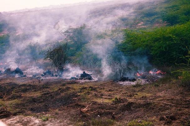 使用某物为燃料和大火地面采用野生的.